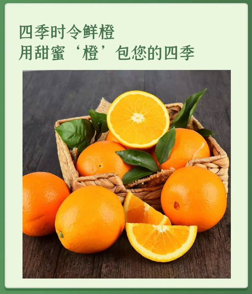 秭歸臍橙 當季新鮮味美，健康營養之選