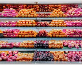 社交媒體重塑商業(yè)生態(tài) 無(wú)脊椎動(dòng)物視角下的電商與消費(fèi)市場(chǎng)變革