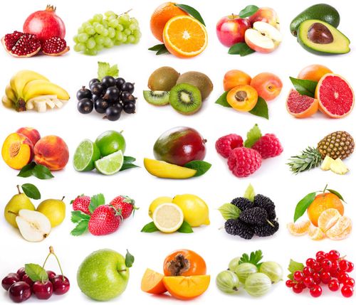 生機(jī)與靜美 白色背景下的水果與無(wú)脊椎動(dòng)物攝影素材賞析